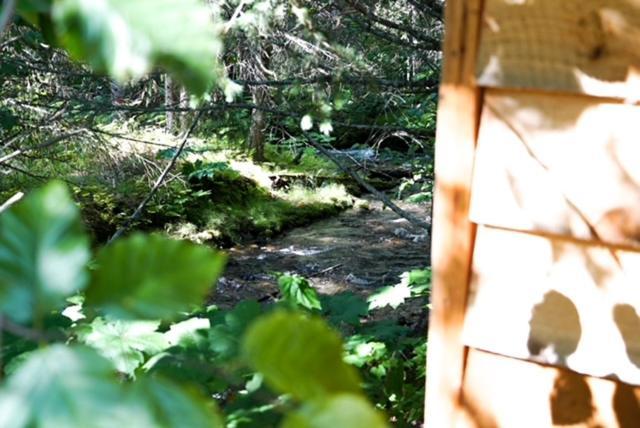 Hope Alaska'S Bear Creek Lodge Екстериор снимка