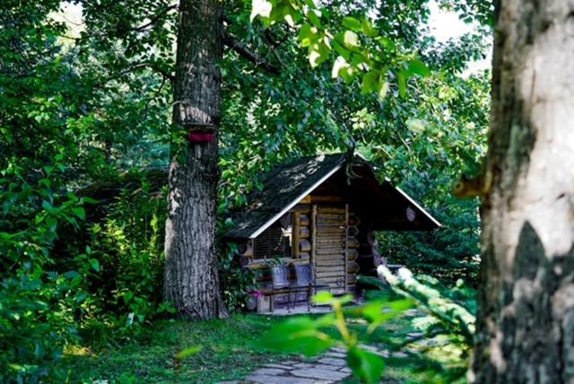 Hope Alaska'S Bear Creek Lodge Екстериор снимка