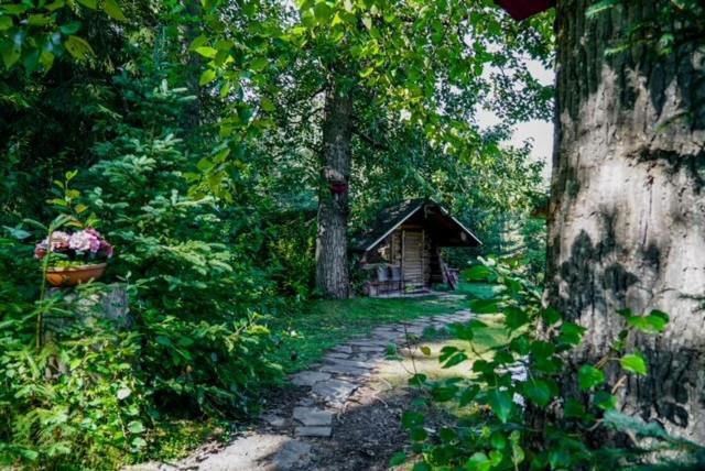 Hope Alaska'S Bear Creek Lodge Екстериор снимка
